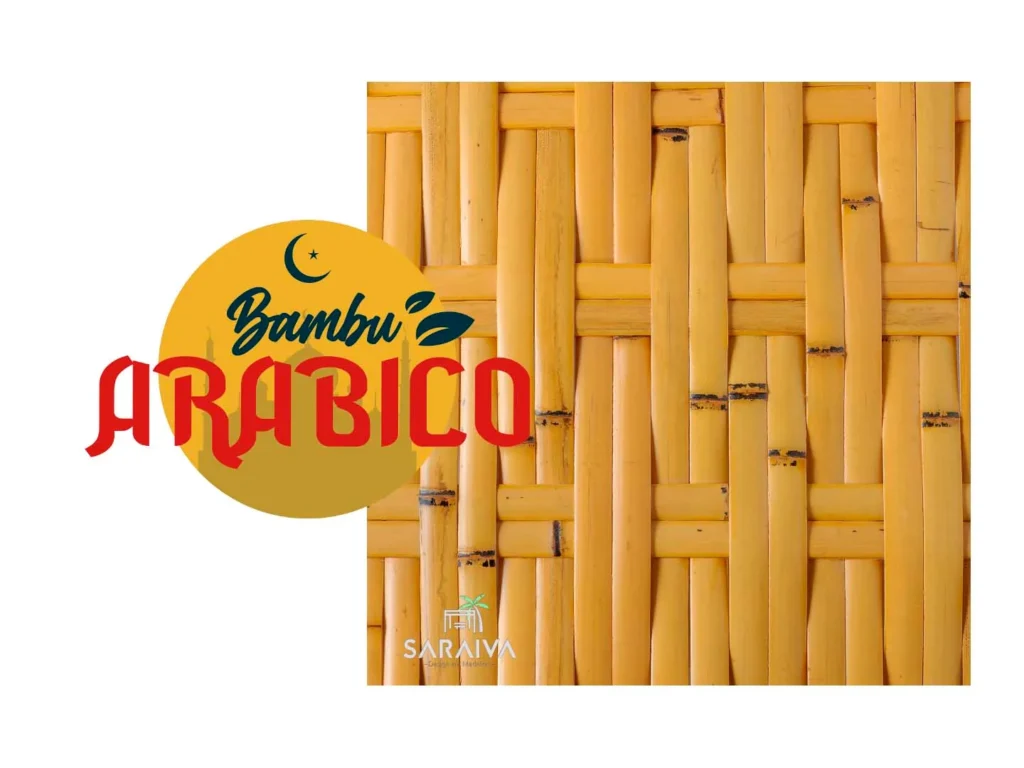 bambu-arabico