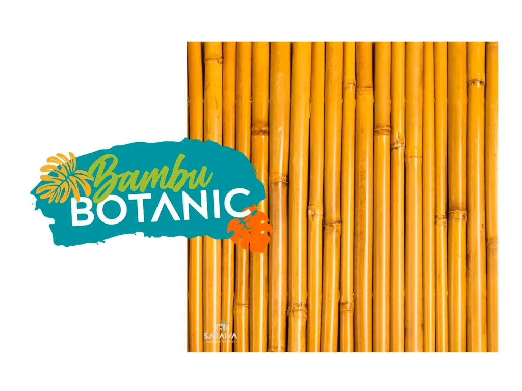 bambu-botanic